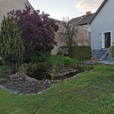 Fewo Rohleder De Mit 130M2 Und Garten Fuer 6Pers Mit 2 Bad コットブス エクステリア 写真