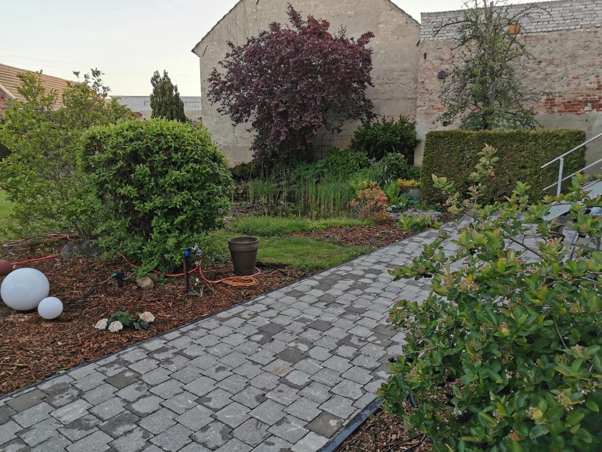 Fewo Rohleder De Mit 130M2 Und Garten Fuer 6Pers Mit 2 Bad コットブス エクステリア 写真