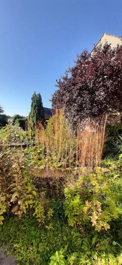 Fewo Rohleder De Mit 130M2 Und Garten Fuer 6Pers Mit 2 Bad コットブス エクステリア 写真